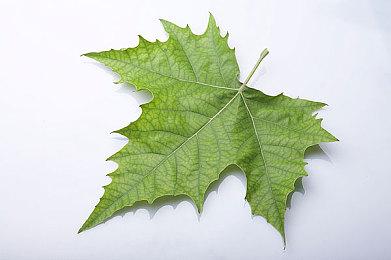 SE：《最终幻想7》更多消息将在下月公布